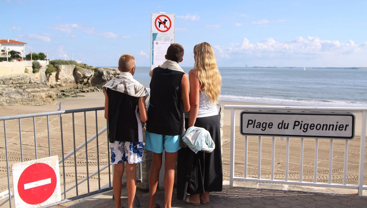 , Cinq plages interdites à la baignade à Royan