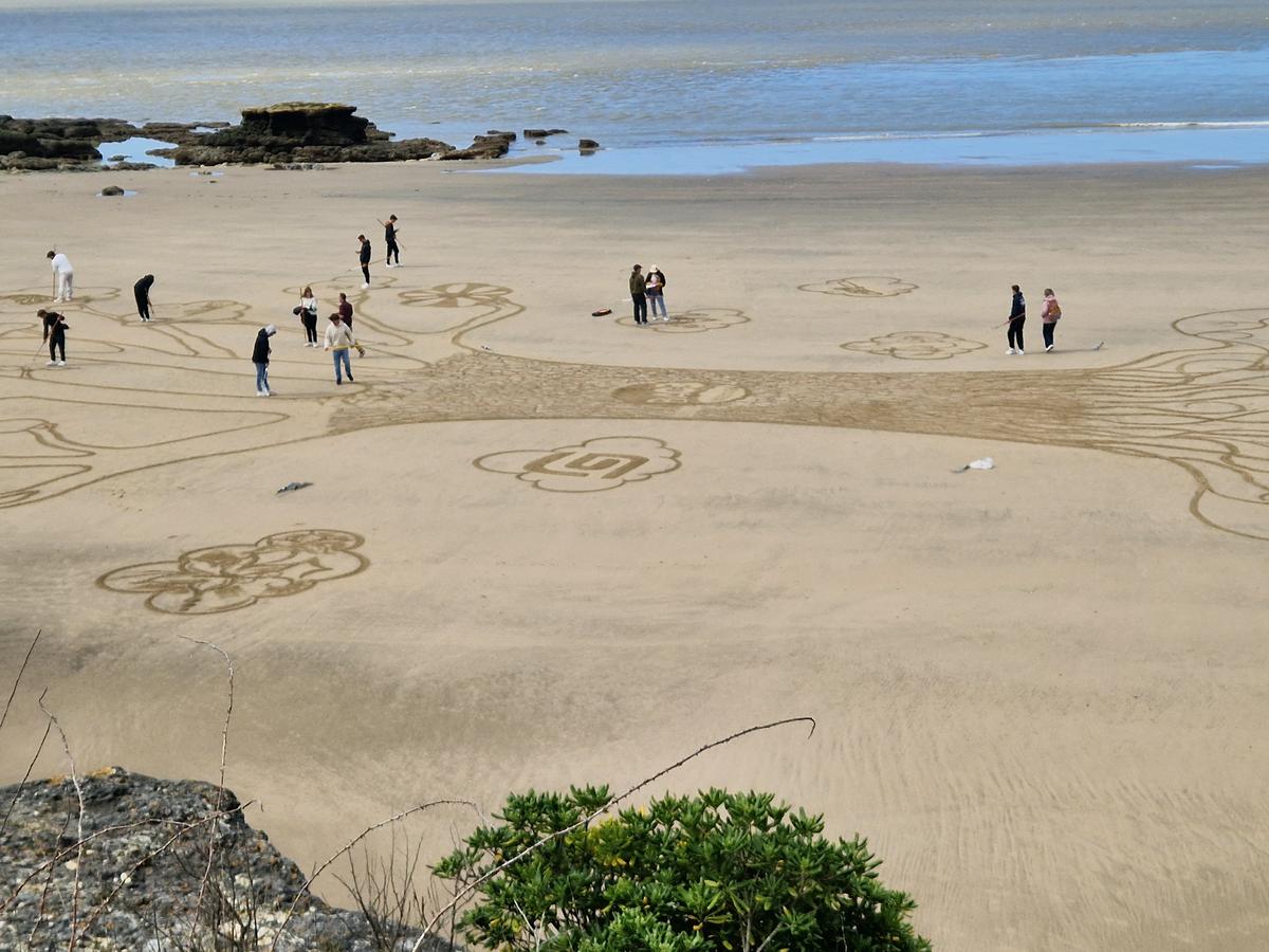 , Royan : du beach art pour les élèves du CFA de l’Agrocampus de Saintonge