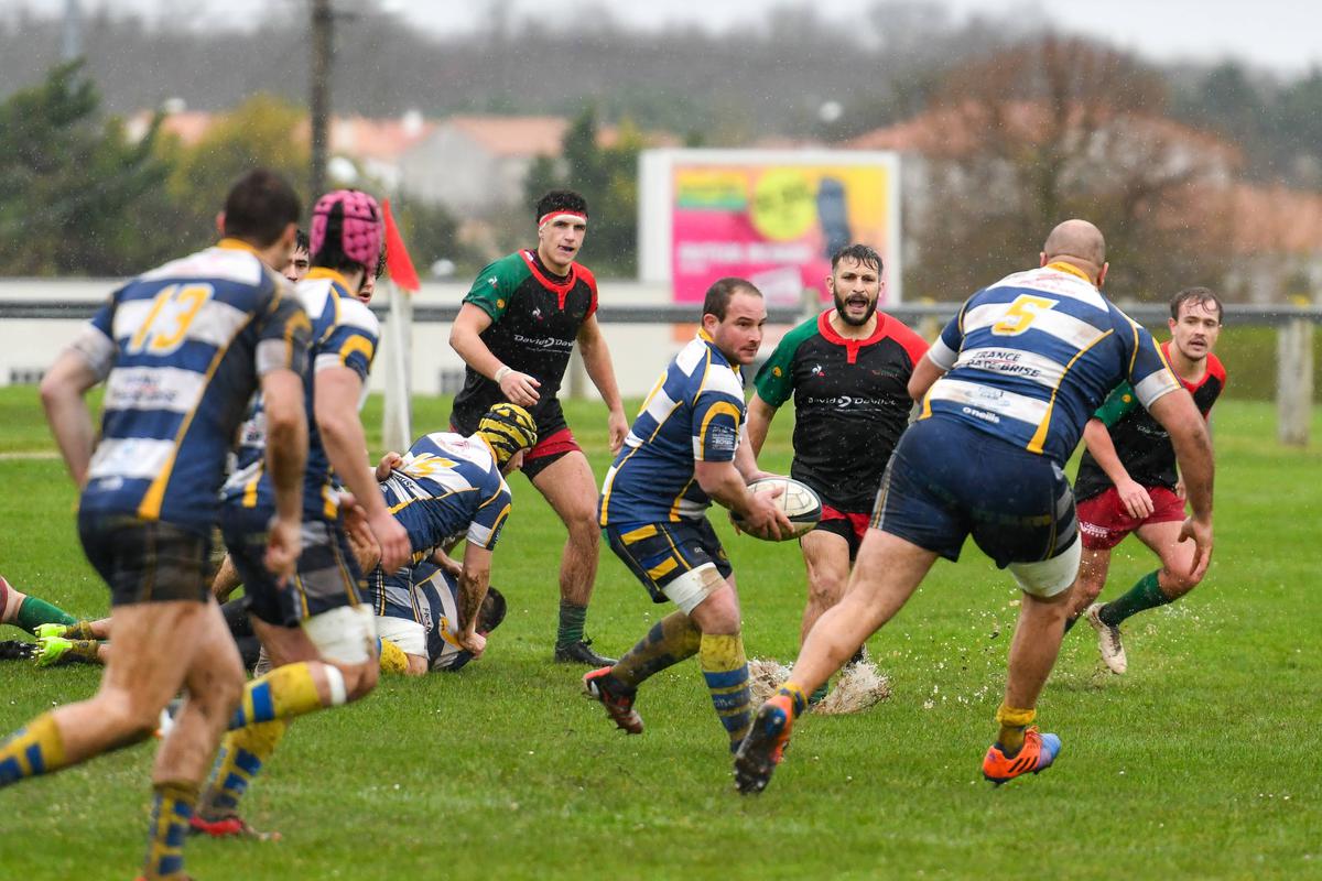 , Rugby régional en Charente-Maritime : Royan-Saujon et Saintes face à leur destin